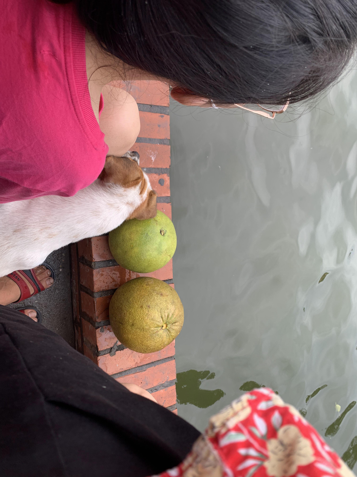 Phần thưởng cho bé gái và chú cún ngồi xem trên bờ là 2 quả bưởi được vớt từ dưới ao lên.