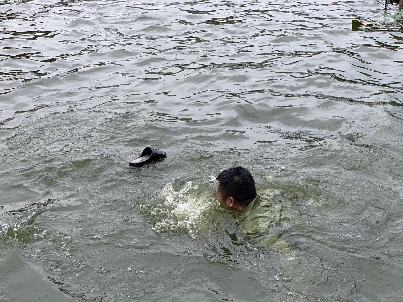 Thấy vịt bơi sát bờ, anh thanh niên mặc nguyên quần áo lao xuống ao vồ vịt, trôi cả dép mà vịt đâu rồi?