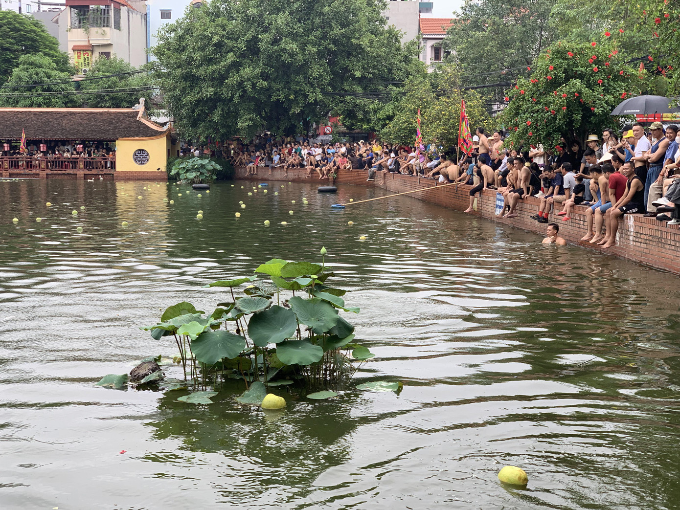 Trên mặt ao Chùa bồng bềnh bưởi, dừa và mấy chiếc phao làm bằng săm ôtô.