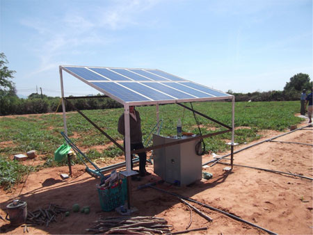 Lắp đặt tấm pin năng lượng giữa đồng để thu điện năng 