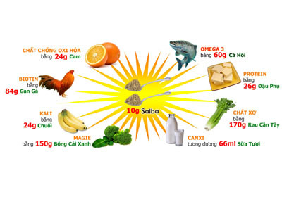 Hàm lượng dinh dưỡng có trong 10g hạt Salba