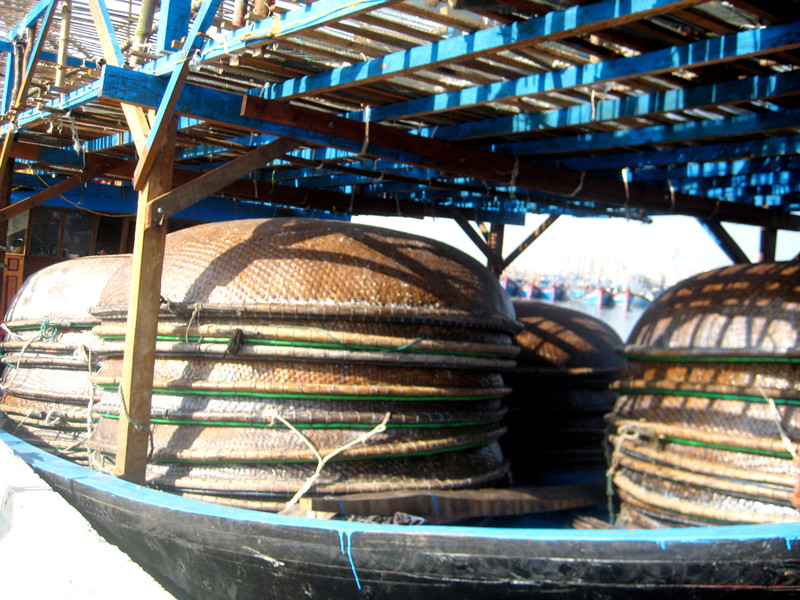 Trên tàu có 35 thúng câu, mỗi thúng nặng 150kg