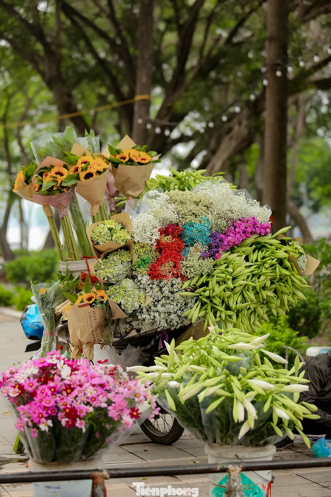 Thời điểm này trên khắp các con đường của Hà Nội đã tràn ngập sắc trắng mộc mạc, tinh khôi của loài hoa Loa kèn.