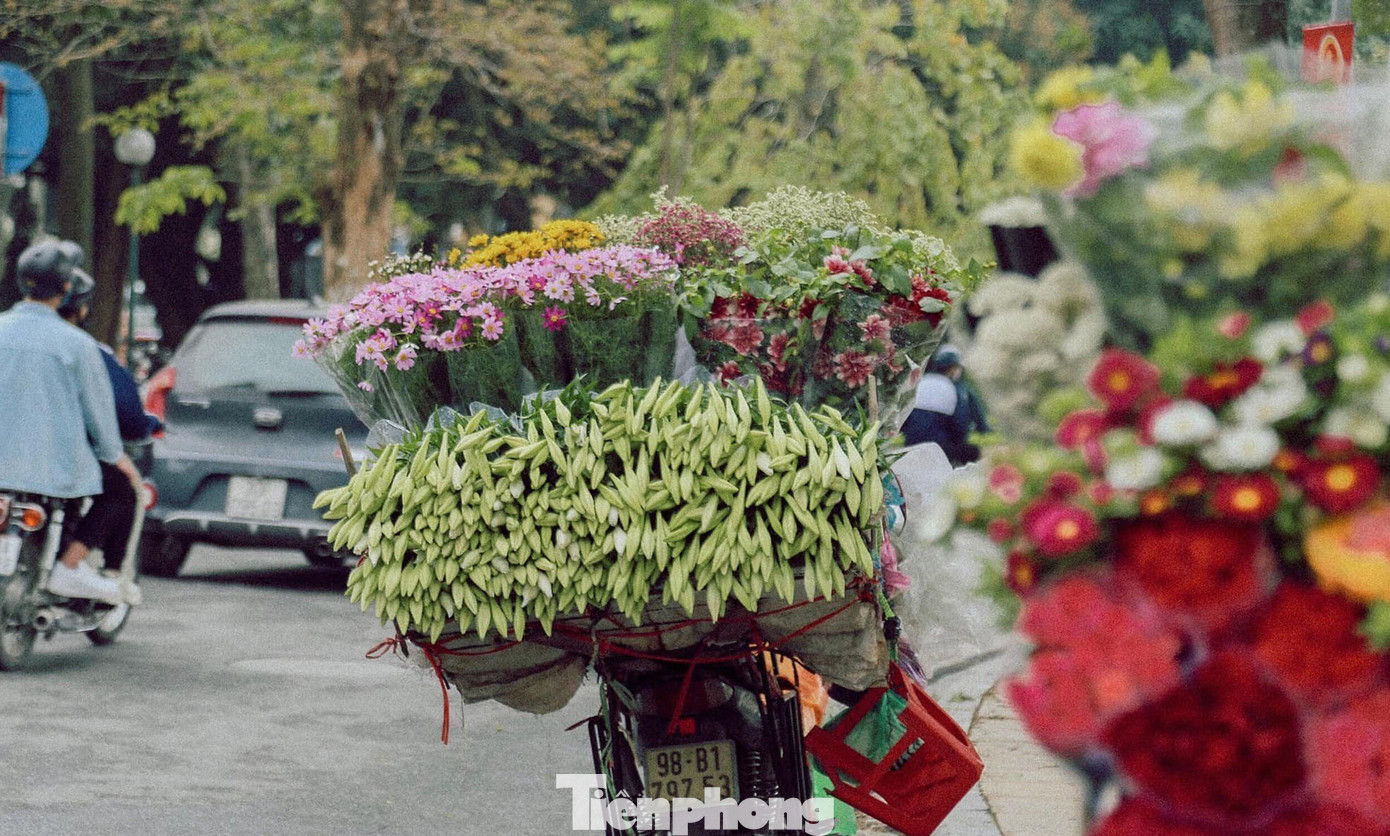 Đi khắp các con phố Hà Nội như: Thụy Khuê, Phan Đình Phùng, Láng Hạ, Thanh Niên, Giảng Võ... vào thời điểm này, không khó để bắt gặp những chiếc xe đạp chở đầy hoa loa kèn đầu mùa, tràn đầy sức sống.