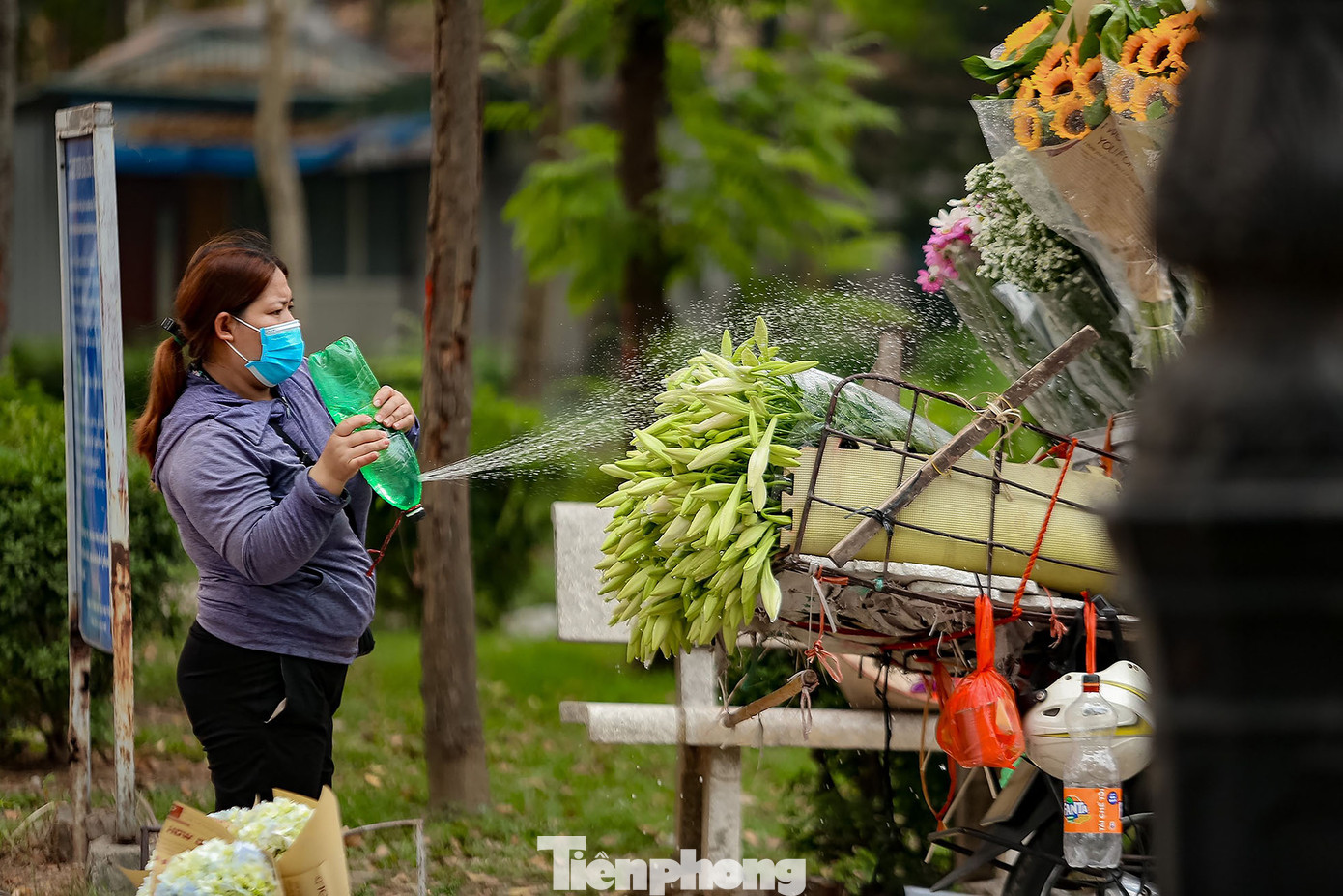 Một tiểu thương cho biết: “Năm nay, giá hoa loa kèn đầu vụ rẻ hơn so với nhiều năm trước. Hiện tại, giá hoa loa kèn chỉ giá 50.000 đồng một bó gồm 10 bông”.
