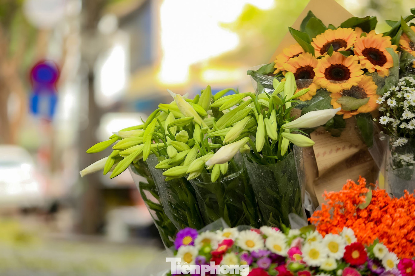 Hoa loa kèn còn có tên gọi khác là hoa bách hợp, hoa huệ tây. Đây vốn là loài hoa đặc trưng của Hà Nội được nhiều người ưa thích. Đến mùa hoa nở, chúng tỏa mùi hương dễ chịu, không nồng mà rất nhẹ nhàng, mang đến cho mọi người vẻ khoan khoái, dễ chịu.