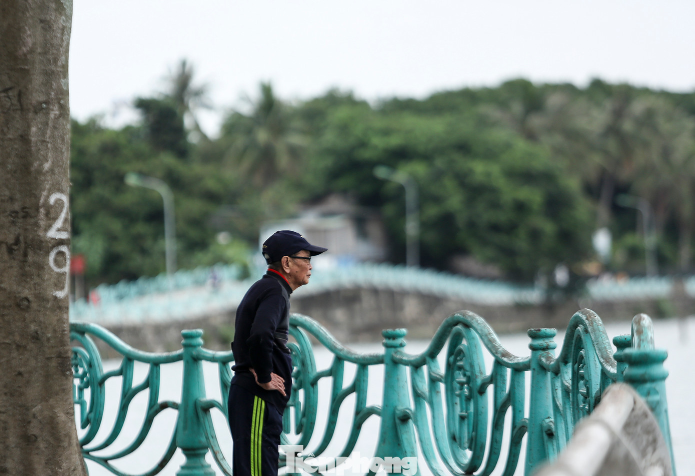 Ông Nguyên, 90 tuổi (Đặng Thai Mai, Tây Hồ) cho biết: "Bản thân tôi đã đi bộ ven dọc hồ được hơn chục năm nay, thời gian gần đây, những quả cầu gang bị kẻ xấu nhân cơ hội lúc nửa đêm cưa trộm mất khiến cho cảnh quan cũng không đẹp như trước. Có thể vì cắt trộm nên những vết cắt còn nham nhở, người đi bộ chẳng may va vào cũng rất dễ xước tay, bị thương".