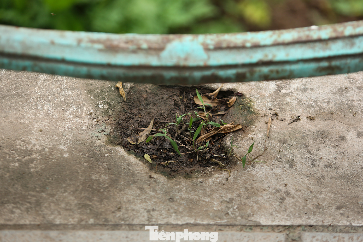 Một hố quả cầu gang bị đánh cắp trên đường Yên Hoa.