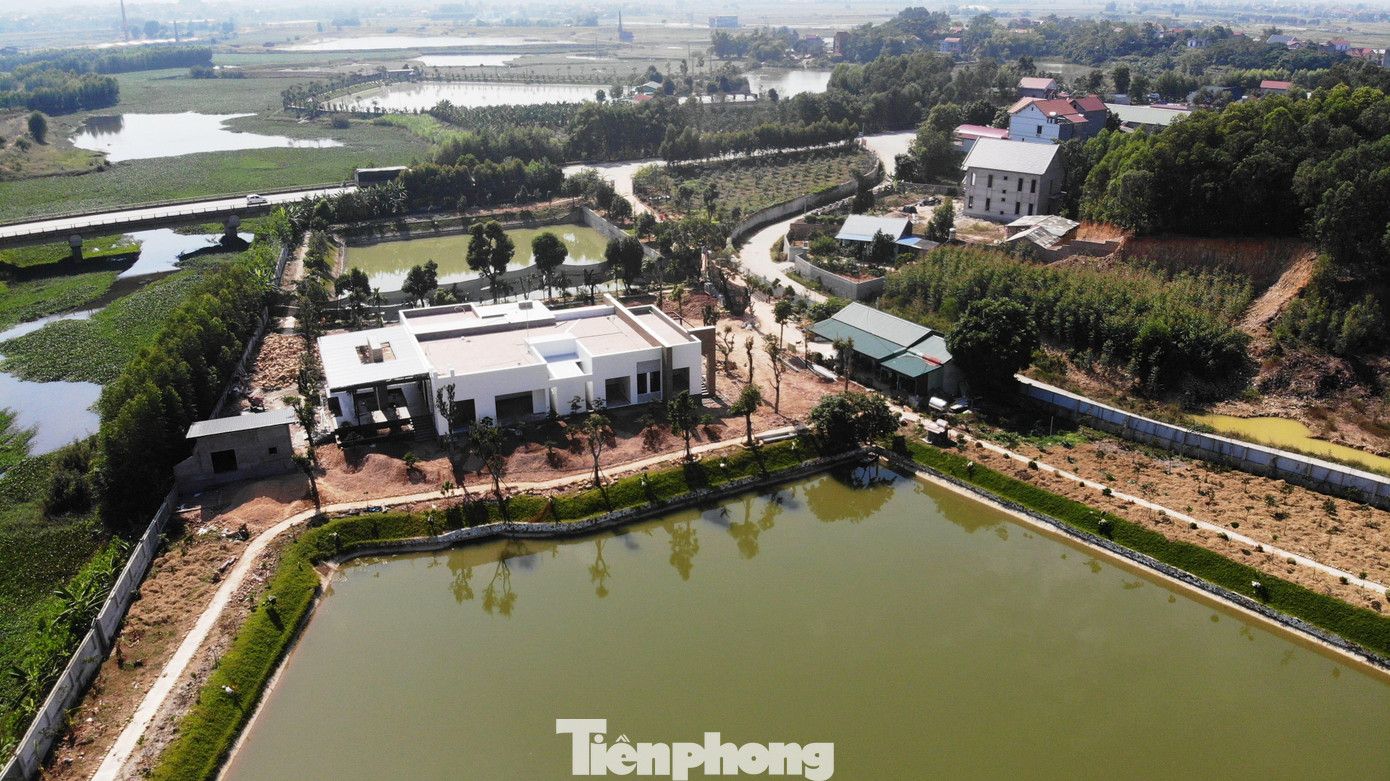 Trang trại được cấp phép để nuôi trồng thủy sản và trồng cây lâu năm trên đất thuê ưu đãi của gia đình ông Hoàng Văn Thủy. Ảnh: Long Vân