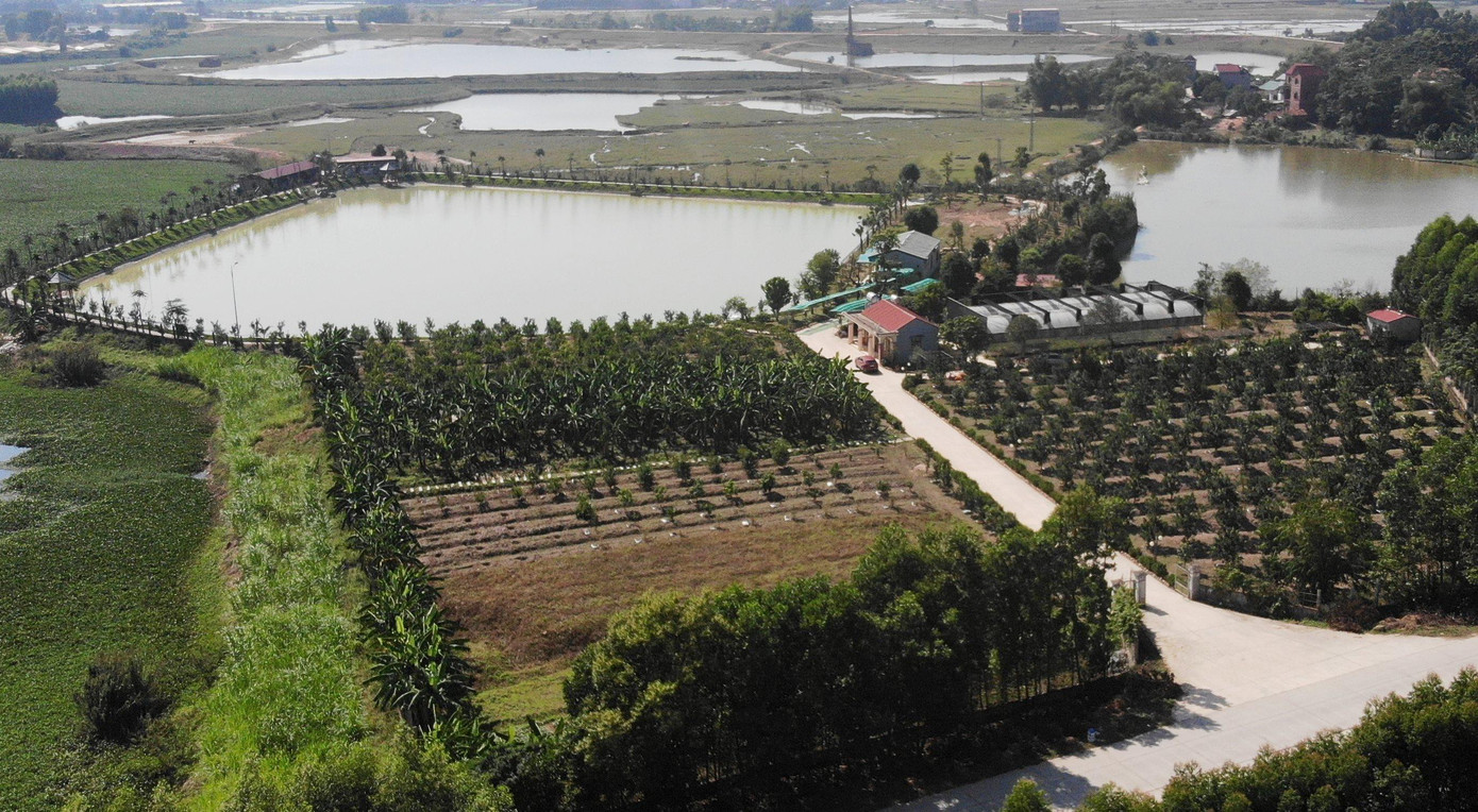 Trang trại này được UBND tỉnh Bắc Giang ra quyết định chủ trương đầu tư vào ngày 4/8/2020, là mô hình trang trại nông nghiệp, cấp cho bà Tr.T.Th - (vợ ông Sơn). Theo giấy phép xây dựng do UBND huyện Yên Dũng cấp, công trình xây dựng trong trang trại là nhà quản lý và chế biến, là công trình cấp III có tổng diện tích sàn hơn 565 mét vuông, chiều cao công trình 7,2 mét. Nhưng như thực địa, công trình cao 7,2 m vẫn chưa được xây dựng.