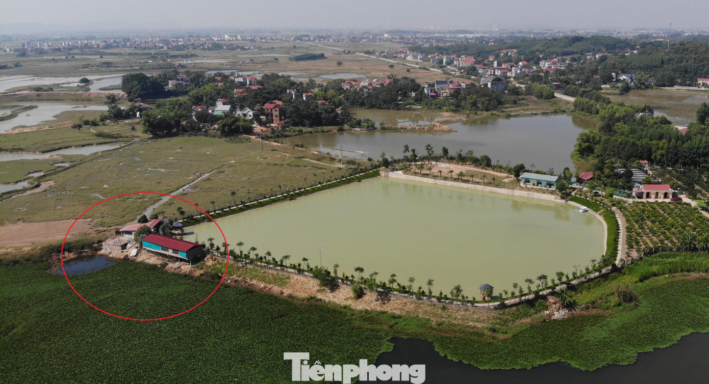 Trong ảnh là trang trại của gia đình ông Bùi Thế Sơn với một hồ cá rộng lớn. Ngoài nhà để câu cá, uống cà phê có hiện tượng lấn ra bờ sông như Tiền Phong đã phản ánh, gia đình ông Sơn đã làm một số công trình phía ngoài hàng rào, ra ngoài mép sông (chỗ khoanh tròn).