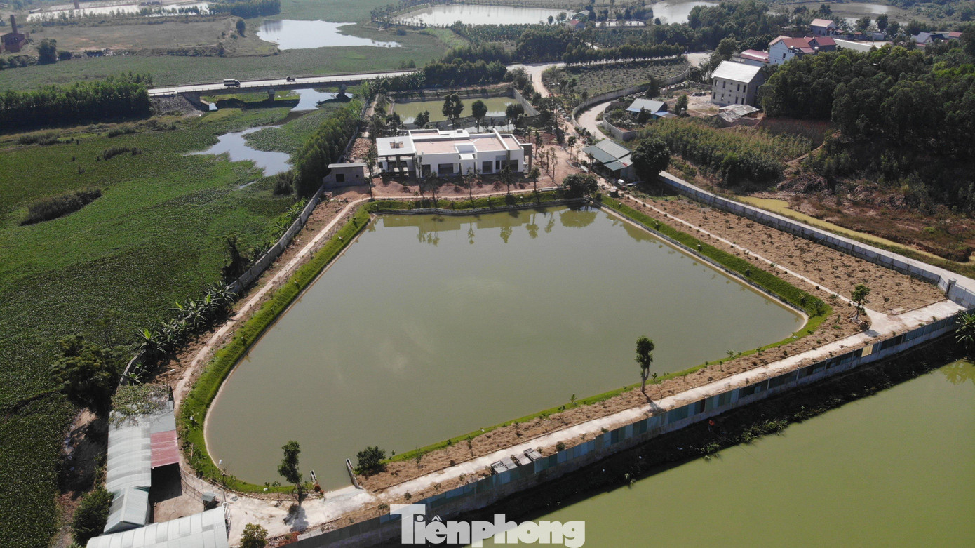 Dự án trang trại nuôi cá, trồng cây của vợ chồng ông Thuỷ đã được đầu tư quy củ đẹp mắt
