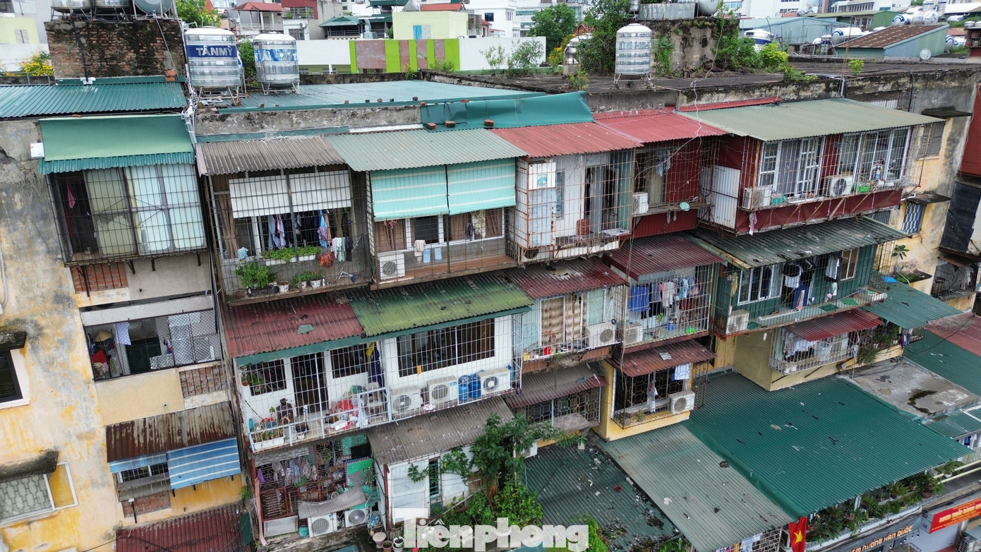 Phía sau một nhà tập thể tại phường Thành Công là hàng chục chuồng cọp đua ra ngoài Phía sau một nhà tập thể tại phường Thành Công là hàng chục chuồng cọp đua ra ngoài