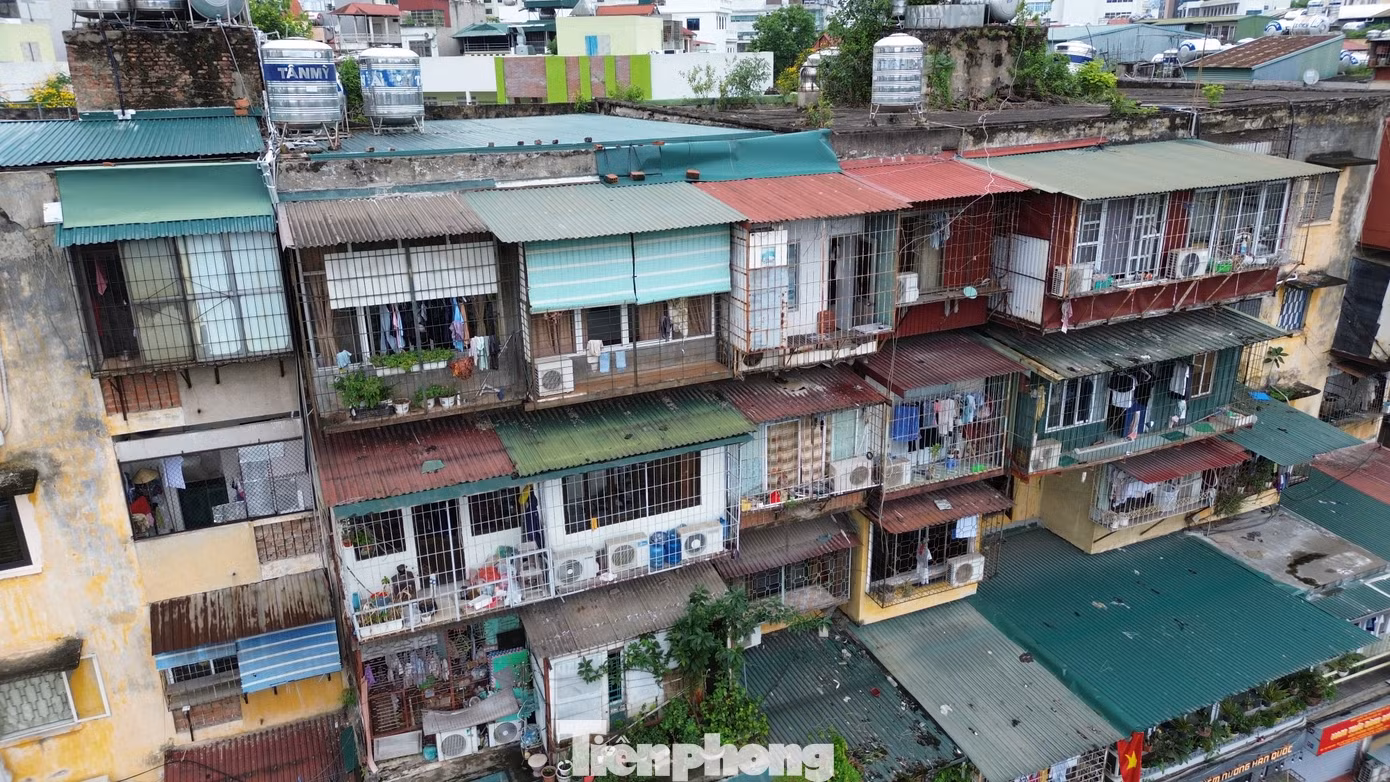 Phía sau một nhà tập thể tại phường Thành Công là hàng chục chuồng cọp đua ra ngoài Phía sau một nhà tập thể tại phường Thành Công là hàng chục chuồng cọp đua ra ngoài