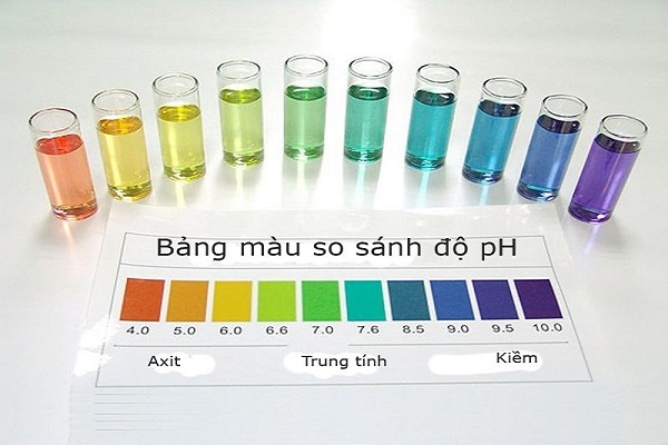 Nhiều hướng dẫn người xem dùng dung dịch thử pH để nhỏ vào nước máy lọc nước nếu ra vàng là nước có tính axit không tốt, thu hút nhiều ý kiến trái chiều. Nhiều hướng dẫn người xem dùng dung dịch thử pH để nhỏ vào nước máy lọc nước nếu ra vàng là nước có tính axit không tốt, thu hút nhiều ý kiến trái chiều.