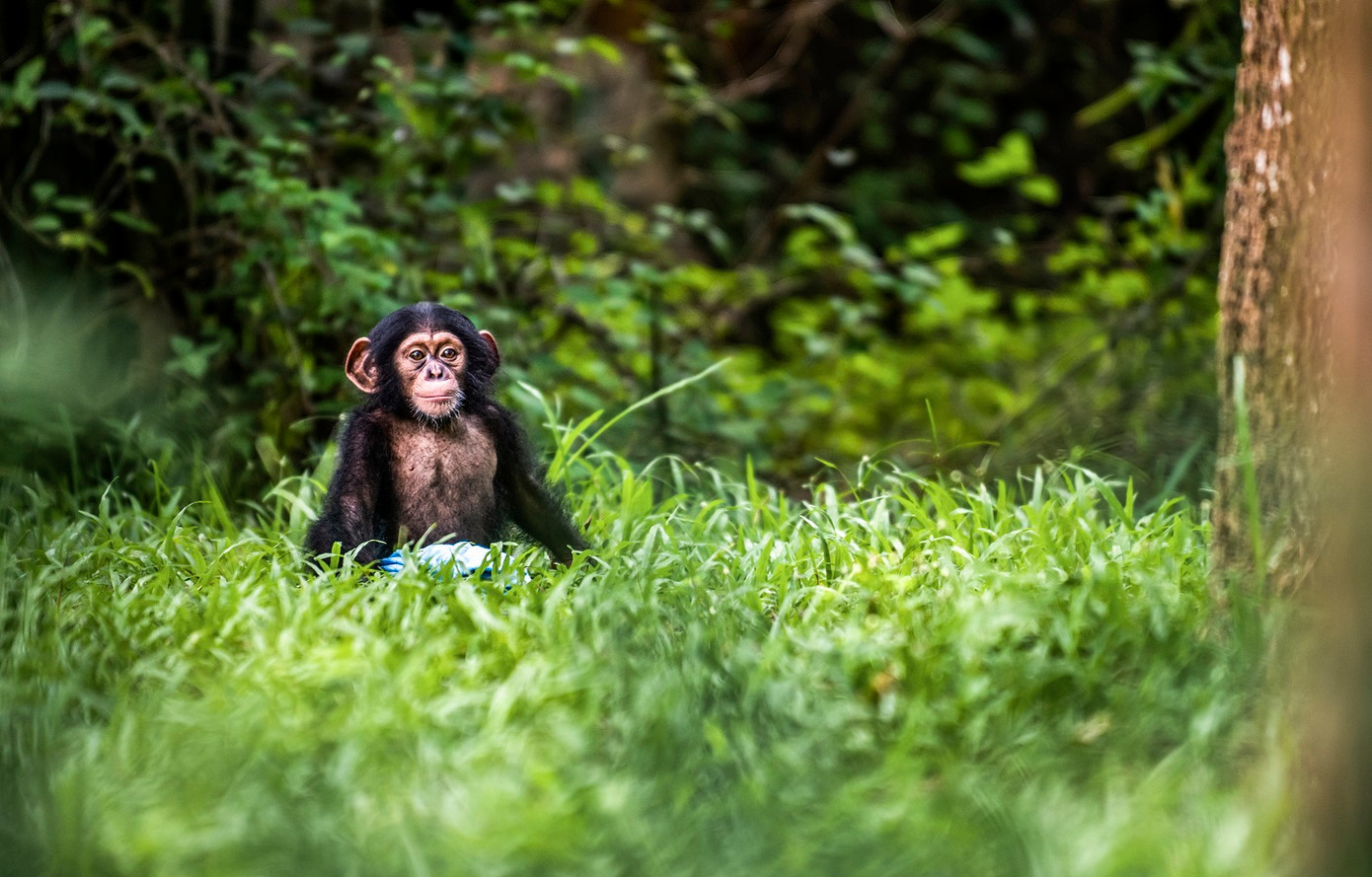 Bé “Mây” trở thành nhân vật “truyền cảm hứng” luôn được “fan” săn đón