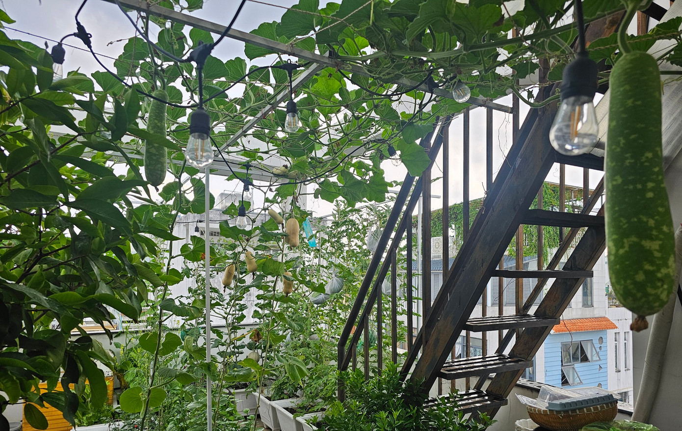 Sân thượng hiện tại có hai tầng.