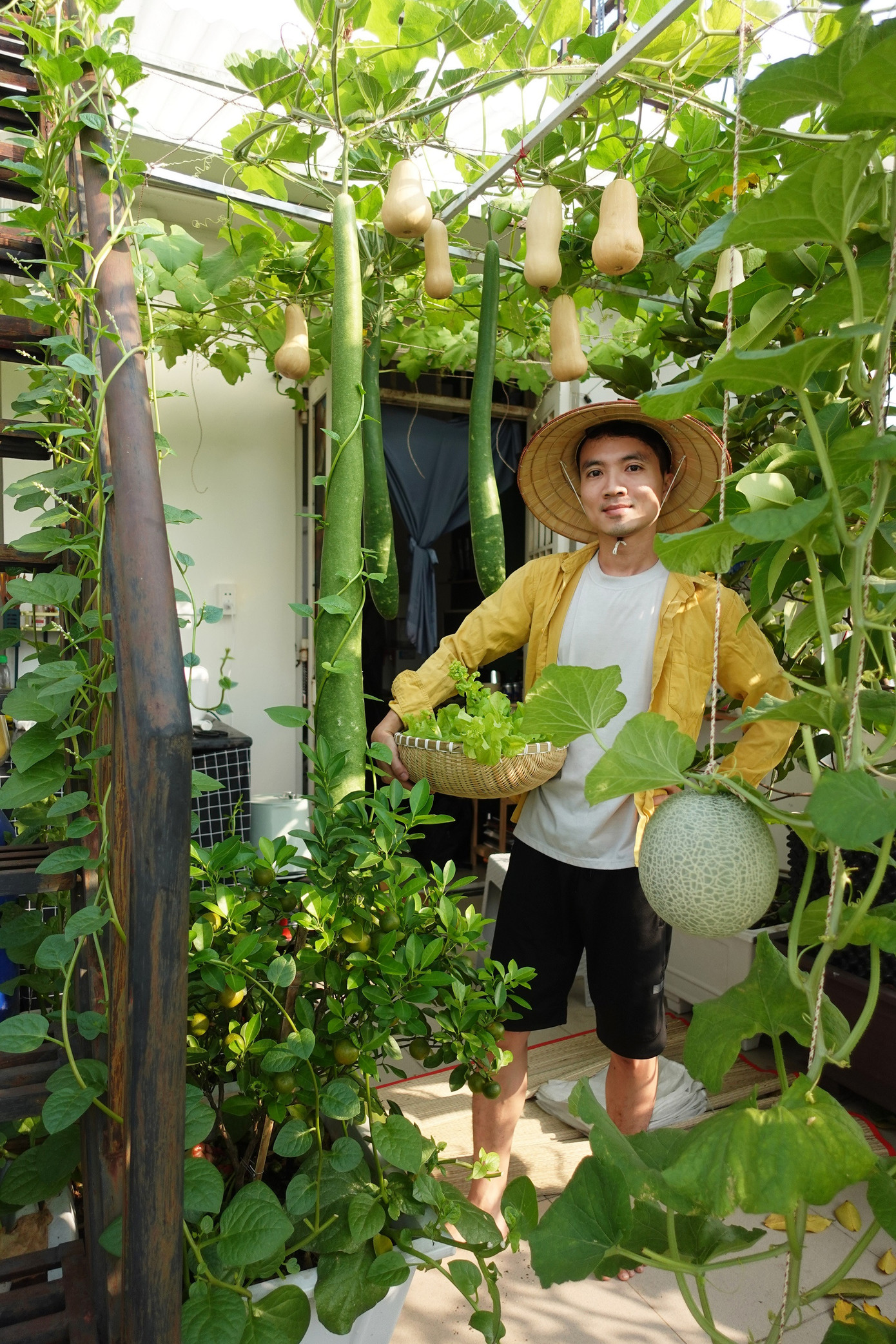 Anh Trí đã có 5 năm kinh nghiệm làm "nông dân sân thượng".