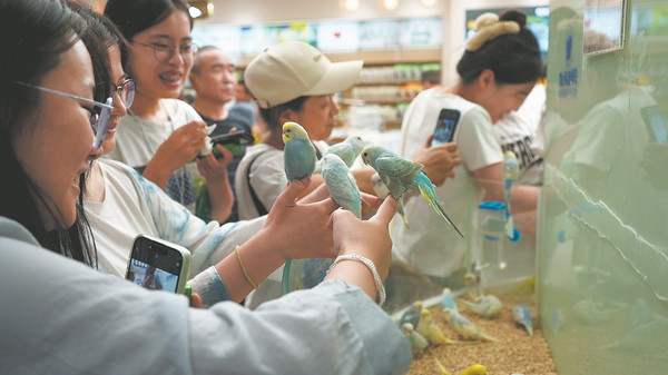 Người trẻ thích thú chơi với vẹt tại một cửa hàng trải nghiệm thú cưng ở Vũ Hán.
