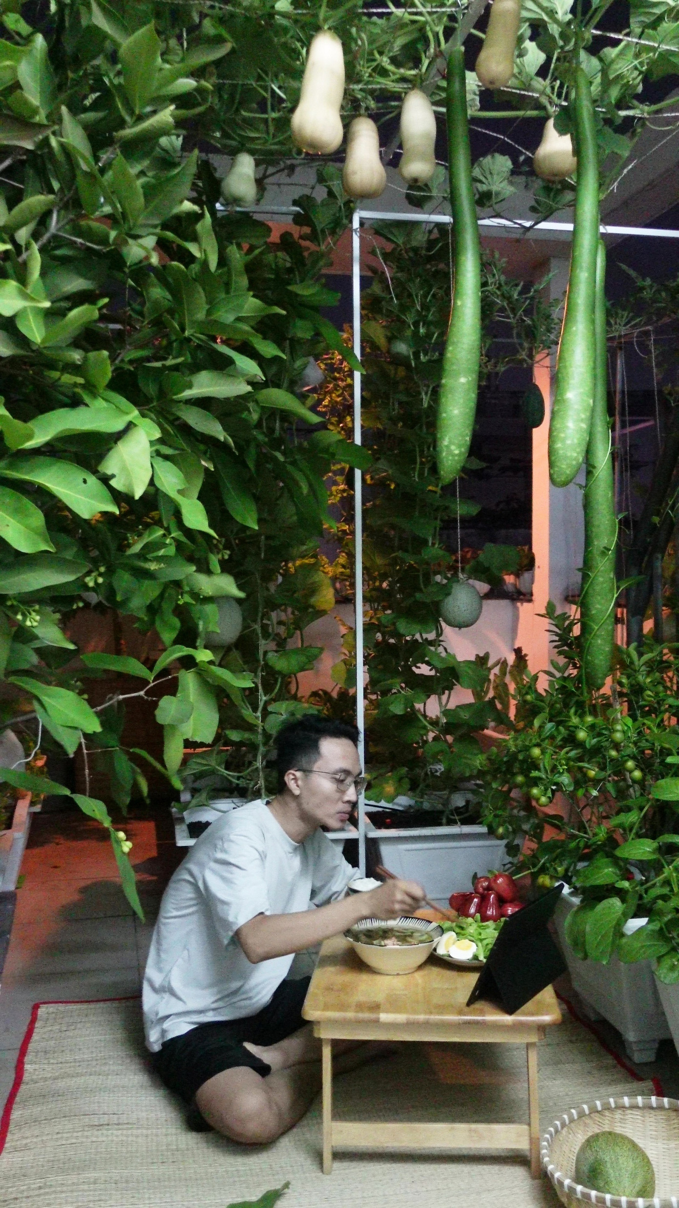 Khu vườn phía dưới, ngay trước cửa phòng trở thành không gian thư giãn mỗi tối của anh Trí.