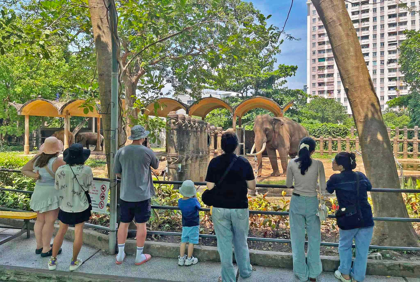 Du khách trong nước và nước ngoài thích thú khi tới Thảo Cầm Viên Sài Gòn Du khách trong nước và nước ngoài thích thú khi tới Thảo Cầm Viên Sài Gòn