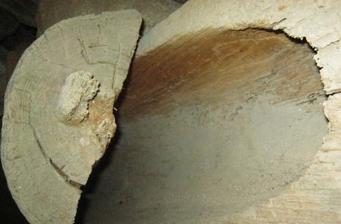 Một chiếc hòm còn nguyên vẹn