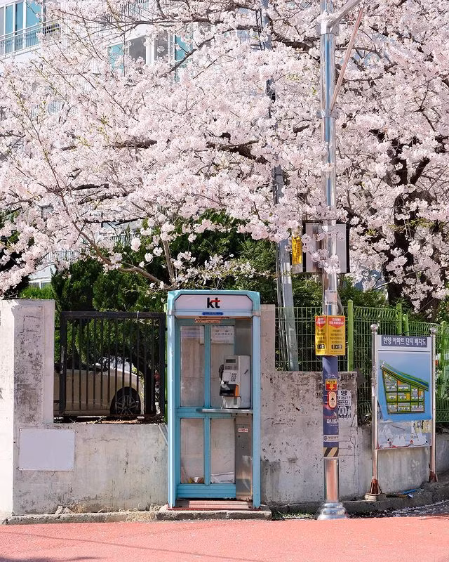 (Nguồn ảnh: IG @luna_pic20)