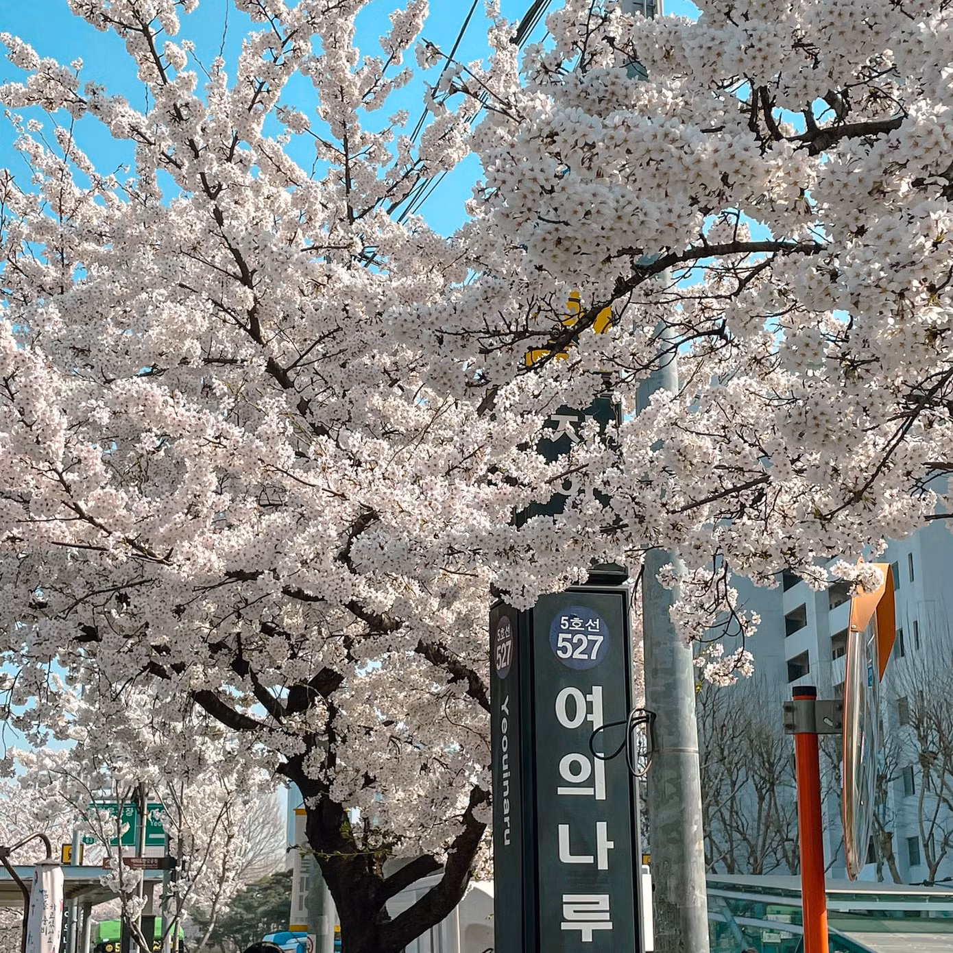 (Nguồn ảnh: IG @__1xe)