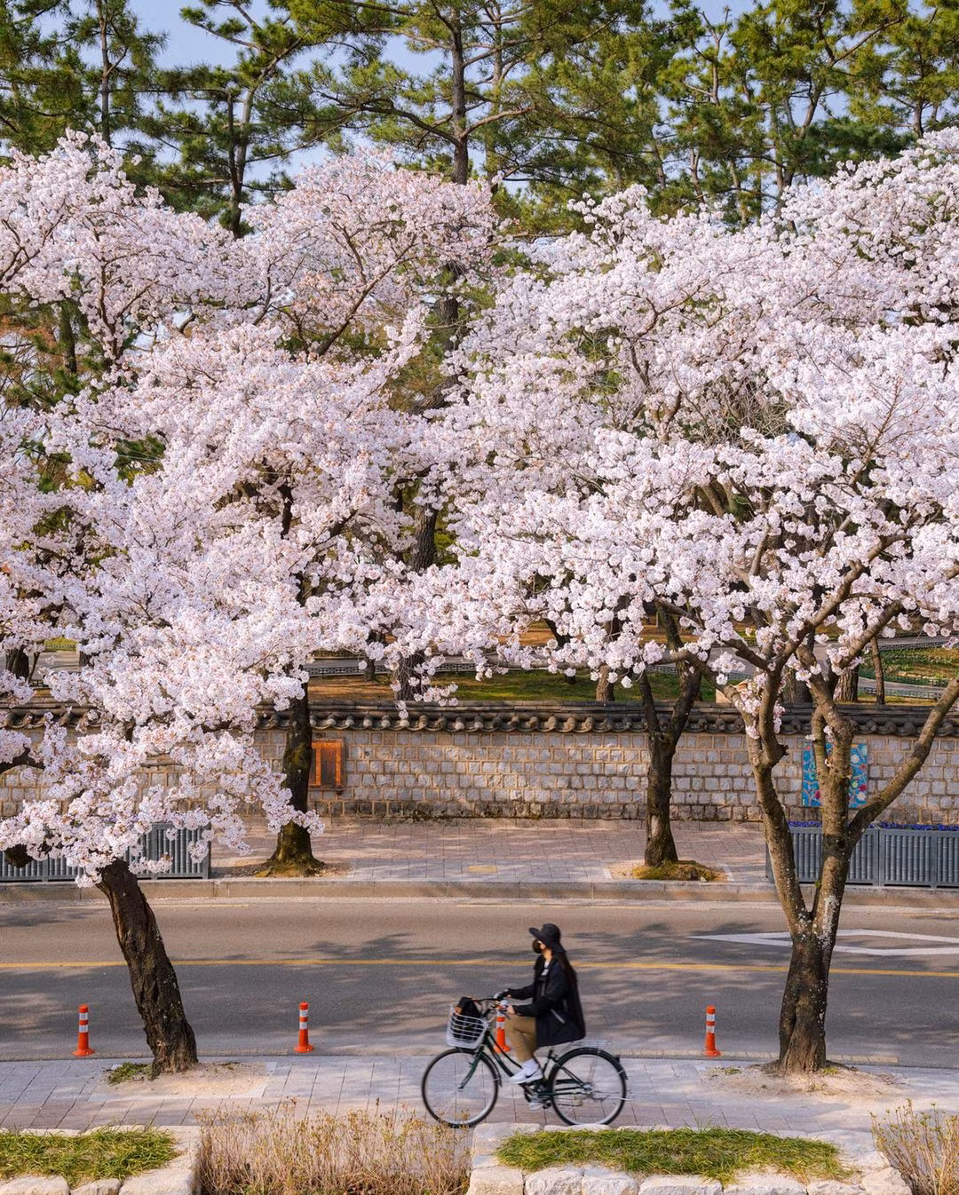 (Nguồn ảnh: IG @yoon_the_road)