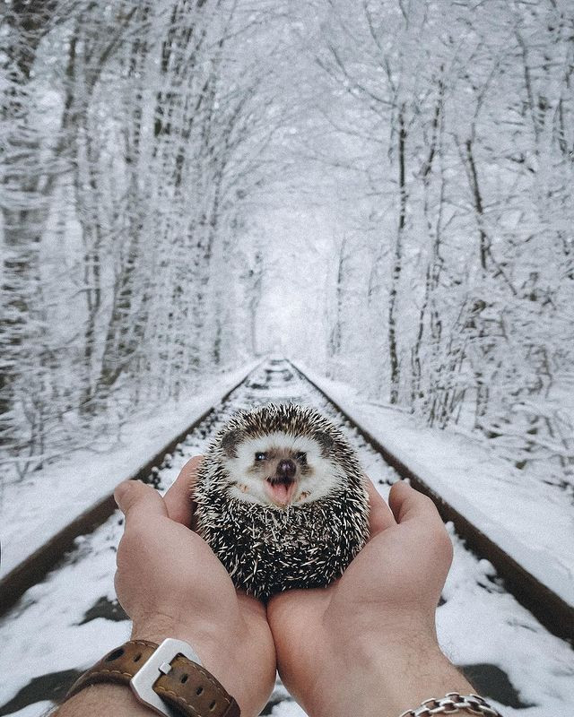 Đường hầm tình yêu đổi màu theo mùa.