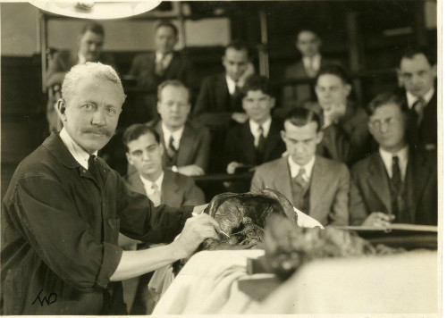 ĐH Harvard - Ngôi trường hơn 2 thế kỷ đào tạo bác sĩ tốt nhất thế giới ảnh 2