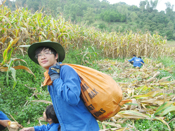 Bạn trẻ giúp dân thu hoạch ngô ở Thạch Đạn (Lạng Sơn). Ảnh: Kiên Cường. Bạn trẻ giúp dân thu hoạch ngô ở Thạch Đạn (Lạng Sơn). Ảnh: Kiên Cường