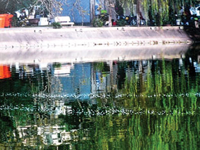 Hai vệt tăm rùa trên mặt hồ Gươm chiều 30 Tết (ảnh do ông Khôi cung cấp). Hai vệt tăm rùa trên mặt hồ Gươm chiều 30 Tết (ảnh do ông Khôi cung cấp)