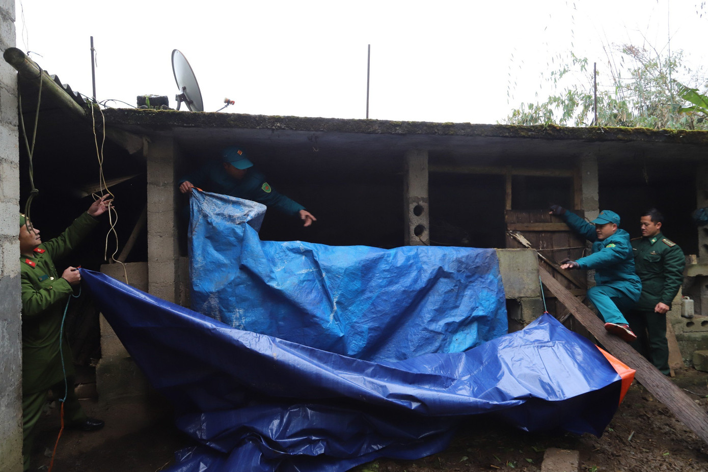 Trước diễn biến phức tạp của thời tiết, chính quyền các địa phương đã cắt cử cán bộ trực tiếp xuống các thôn, bản hướng dẫn nhân dân thực hiện công tác phòng, chống đói rét cho đàn gia súc, gia cầm.