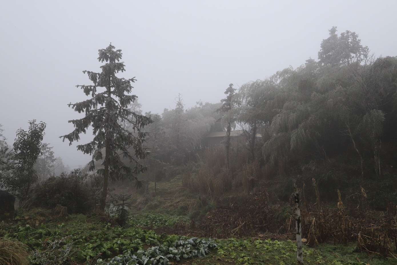 Các xã khu vực biên giới như Xín Cái, Thượng Phùng, Sơn Vĩ băng giá phủ trắng các mái nhà, làm hỏng ràu màu của người dân.