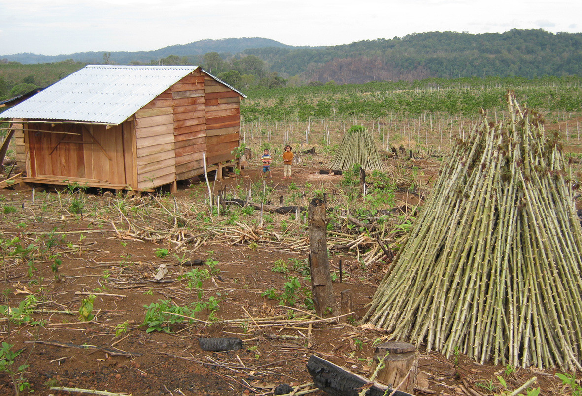 Ngôi nhà gỗ được dựng lên; xung quanh, cây rừng bị đốn hạ tan hoang như vừa có bão