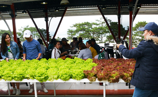 Chiêu đãi buffet chay cho hàng ngàn du khách tại Đà Lạt ảnh 4
