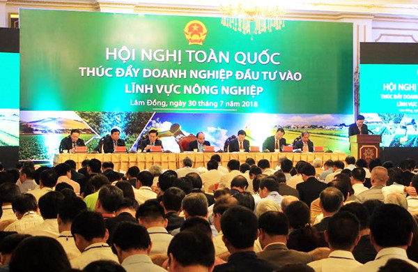 Khơi thông 'điểm nghẽn', mở đường cho DN đầu tư vào nông nghiệp ảnh 1