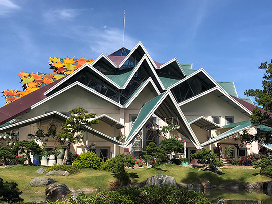 Tận thấy phong lá đỏ lãng mạn ở Đà Lạt ảnh 4