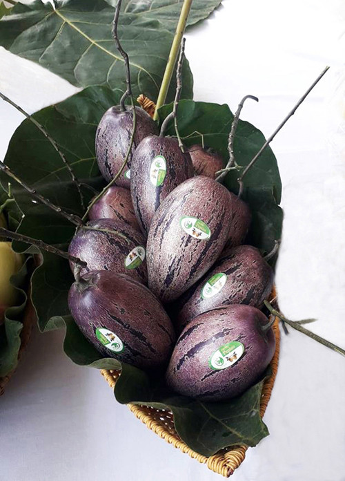 Người dân Đà Lạt đổ xô đặt mua hoa, quả độc lạ chơi Tết ảnh 2