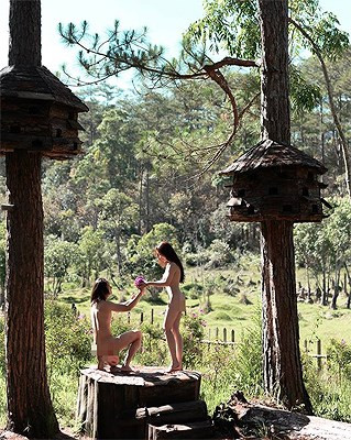 Bất ngờ hình thức xử phạt cặp đôi chụp ảnh nude bị cho 'bôi bẩn' Đà Lạt ảnh 1