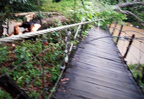 Lâm Đồng: Lốc xoáy tàn phá 'thủ phủ' sầu riêng ảnh 3