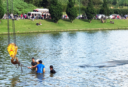 Xe tải 'bay' xuống hồ Xuân Hương, nhiều người thoát nạn ảnh 1