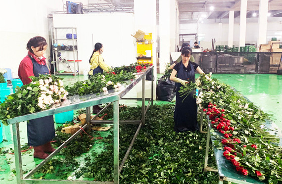 Đặc cách cho xe tải chở hoa vào một số tuyến đường cấm ở TP.HCM ảnh 2