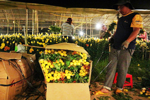 Đặc cách cho xe tải chở hoa vào một số tuyến đường cấm ở TP.HCM ảnh 1