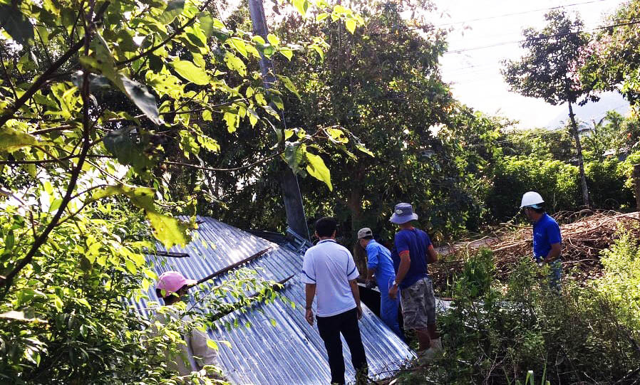 Lũ quét, lốc xoáy gây ngập lụt, cây đổ la liệt ở Lâm Đồng ảnh 2