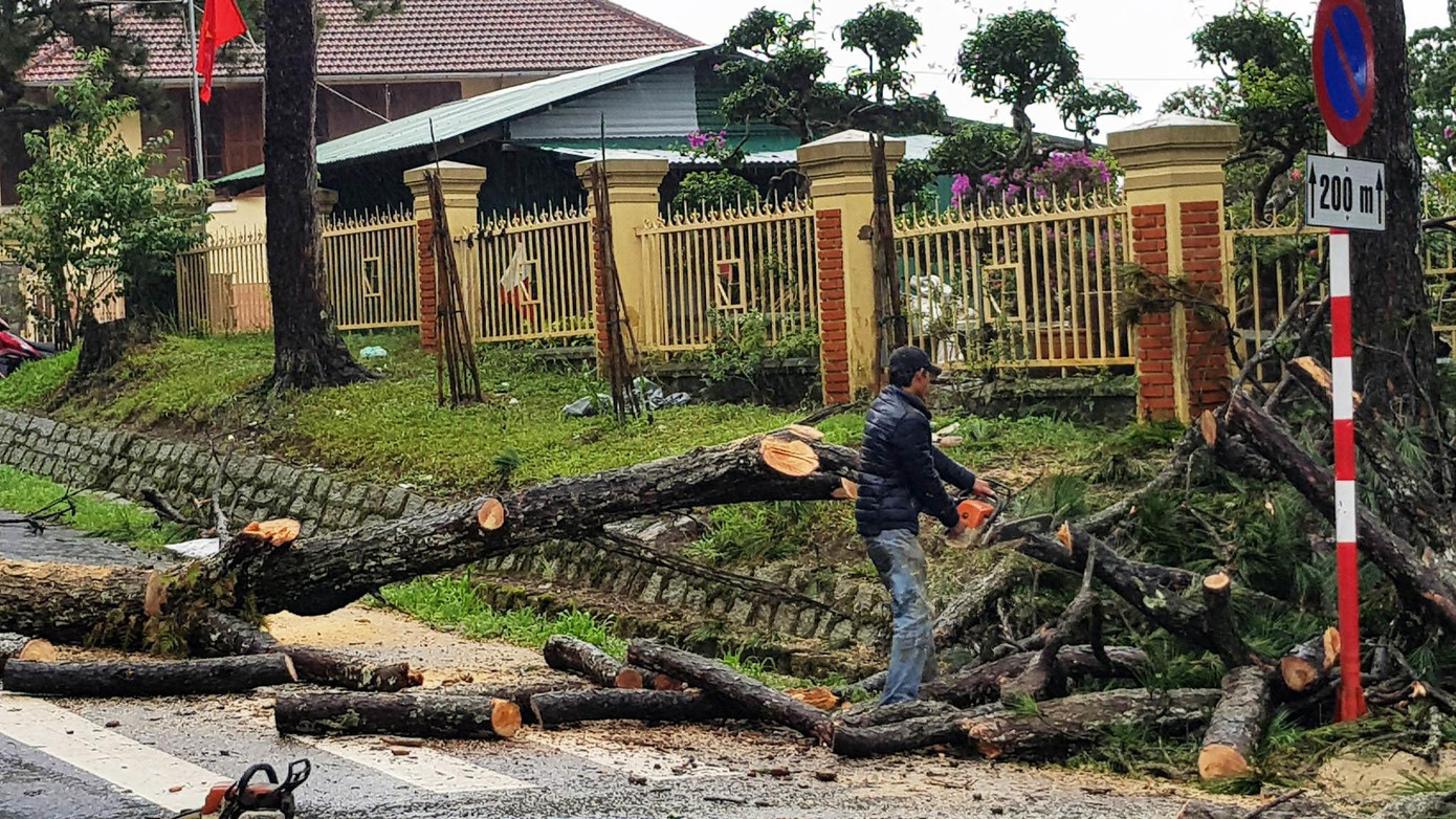 Lũ quét, lốc xoáy gây ngập lụt, cây đổ la liệt ở Lâm Đồng ảnh 4