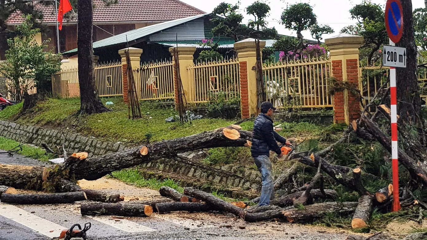 Lũ quét, lốc xoáy gây ngập lụt, cây đổ la liệt ở Lâm Đồng ảnh 4