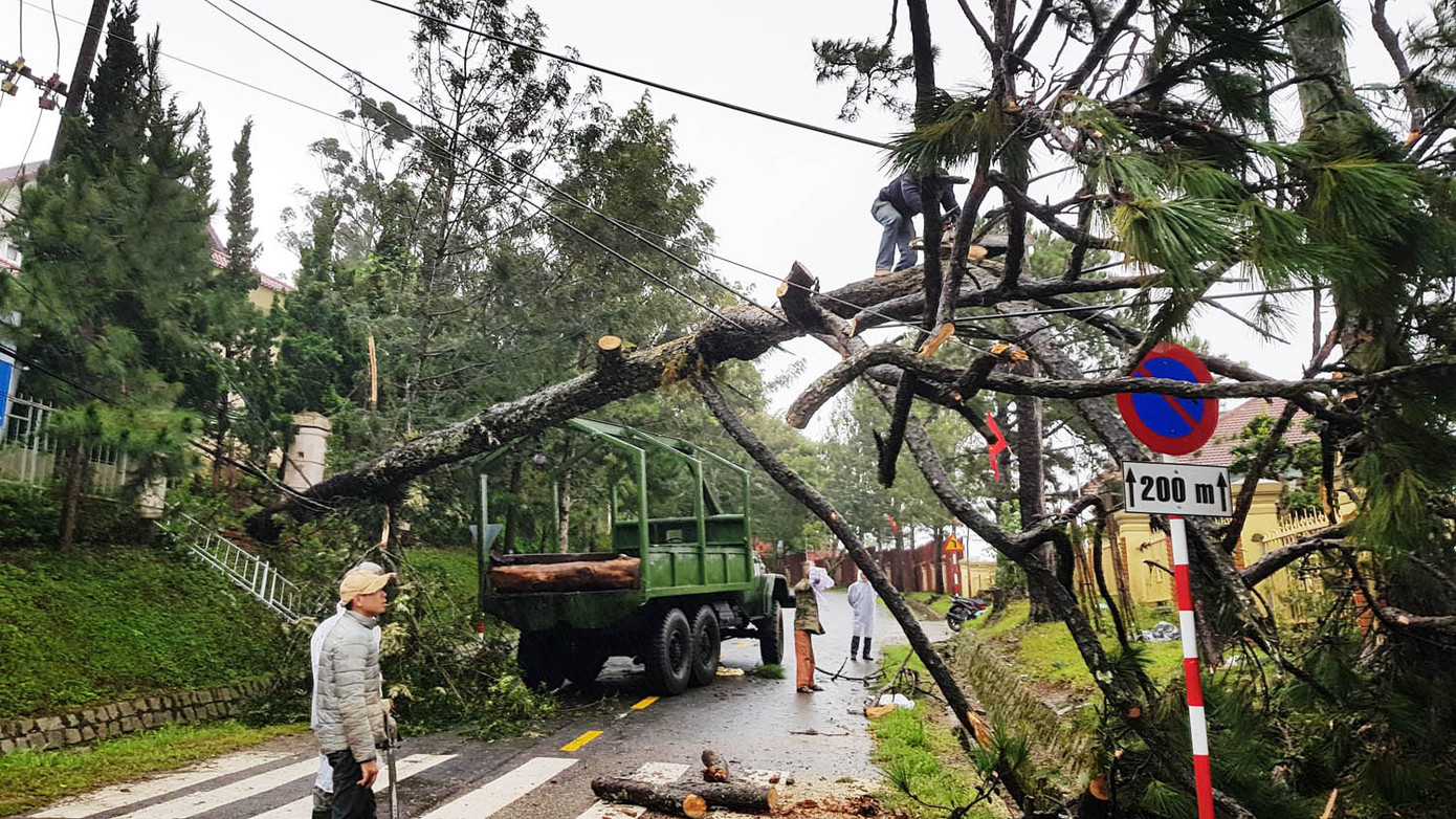 Lũ quét, lốc xoáy gây ngập lụt, cây đổ la liệt ở Lâm Đồng ảnh 3