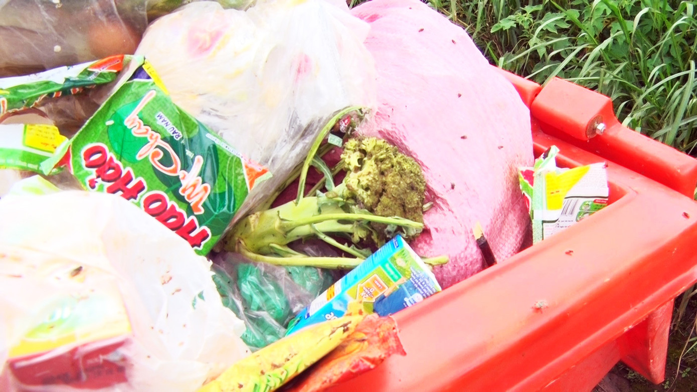 Chất thải độc hại ùn ứ trong hàng trăm thùng rác trên đường phố Đà Lạt ảnh 5